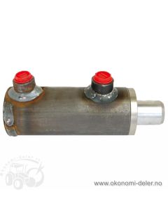 Sylinder 50 innv 100 slagl